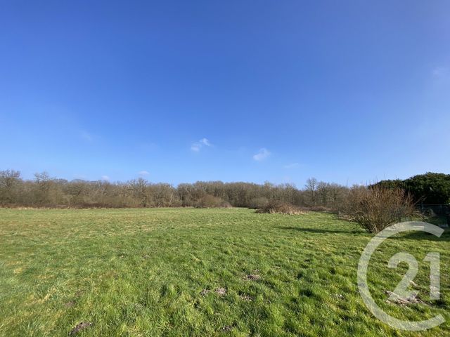 maison à vendre - 7 pièces - 397.61 m2 - CHATEAUNEUF SUR LOIRE - 45 - CENTRE - Century 21 Trois Rois