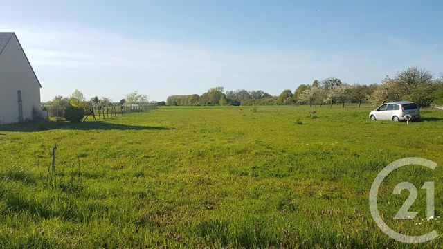 Afficher la photo en grand terrain à vendre - 2300.0 m2 - ST BENOIT SUR LOIRE - 45 - CENTRE - Century 21 Trois Rois