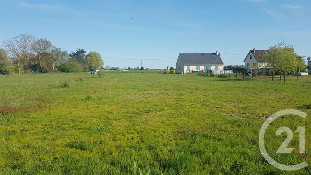 Afficher la photo en grand terrain à vendre - 2300.0 m2 - ST BENOIT SUR LOIRE - 45 - CENTRE - Century 21 Trois Rois