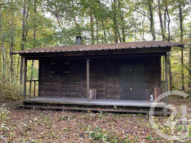 Afficher la photo en grand terrain à vendre - 6446.0 m2 - BOUZY LA FORET - 45 - CENTRE - Century 21 Trois Rois