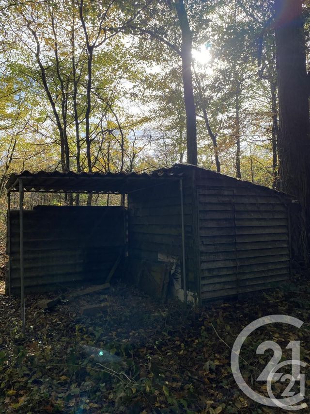 Afficher la photo en grand terrain à vendre - 6446.0 m2 - BOUZY LA FORET - 45 - CENTRE - Century 21 Trois Rois
