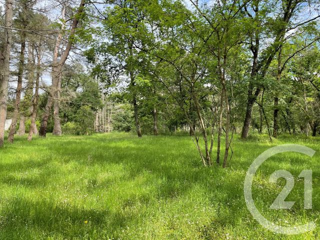 terrain à vendre - 3157.0 m2 - GERMIGNY DES PRES - 45 - CENTRE - Century 21 Trois Rois terrain à vendre - 3157.0 m2 - GERMIGNY DES PRES - 45 - CENTRE - Century 21 Trois Rois