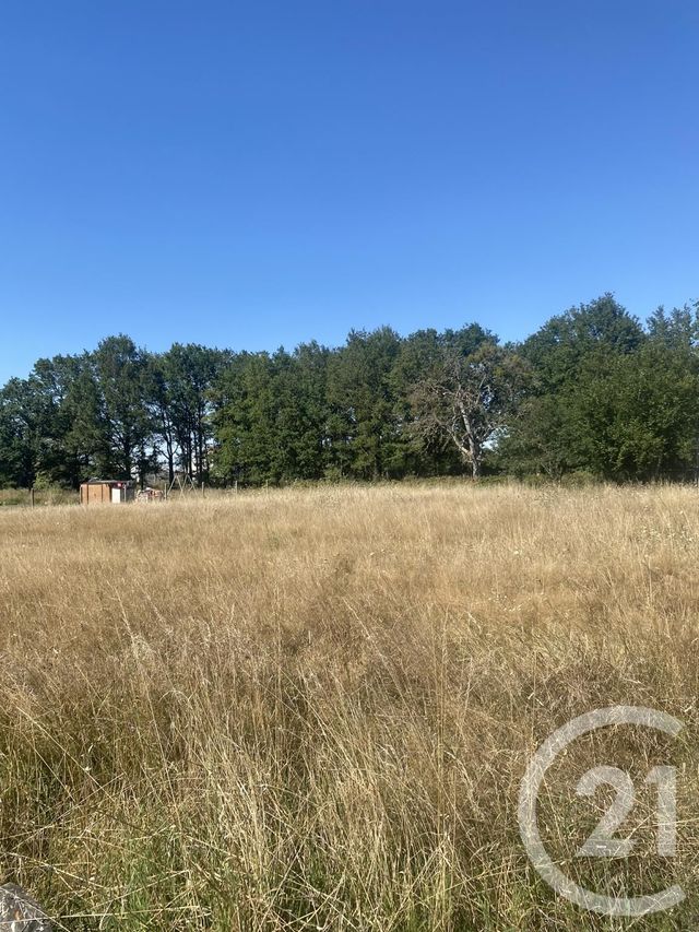 terrain - SURY AUX BOIS - 45
