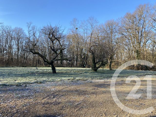 maison à vendre - 3 pièces - 36.8 m2 - LES BORDES - 45 - CENTRE - Century 21 Trois Rois