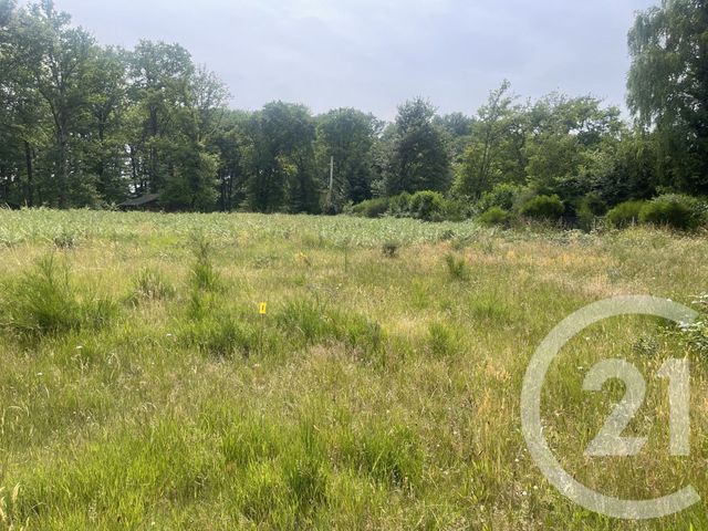 terrain - SEICHEBRIERES - 45