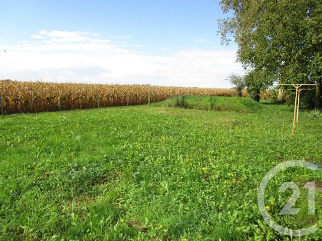 maison à louer - 3 pièces - 78.0 m2 - TIGY - 45 - CENTRE - Century 21 Trois Rois