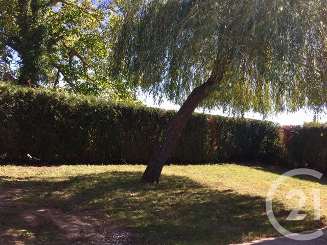 maison à louer - 2 pièces - 36.96 m2 - ST BENOIT SUR LOIRE - 45 - CENTRE - Century 21 Trois Rois